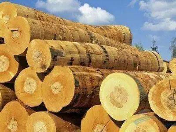 深圳市奇雅木制品有限公司-广东省惠州市惠阳区淡水